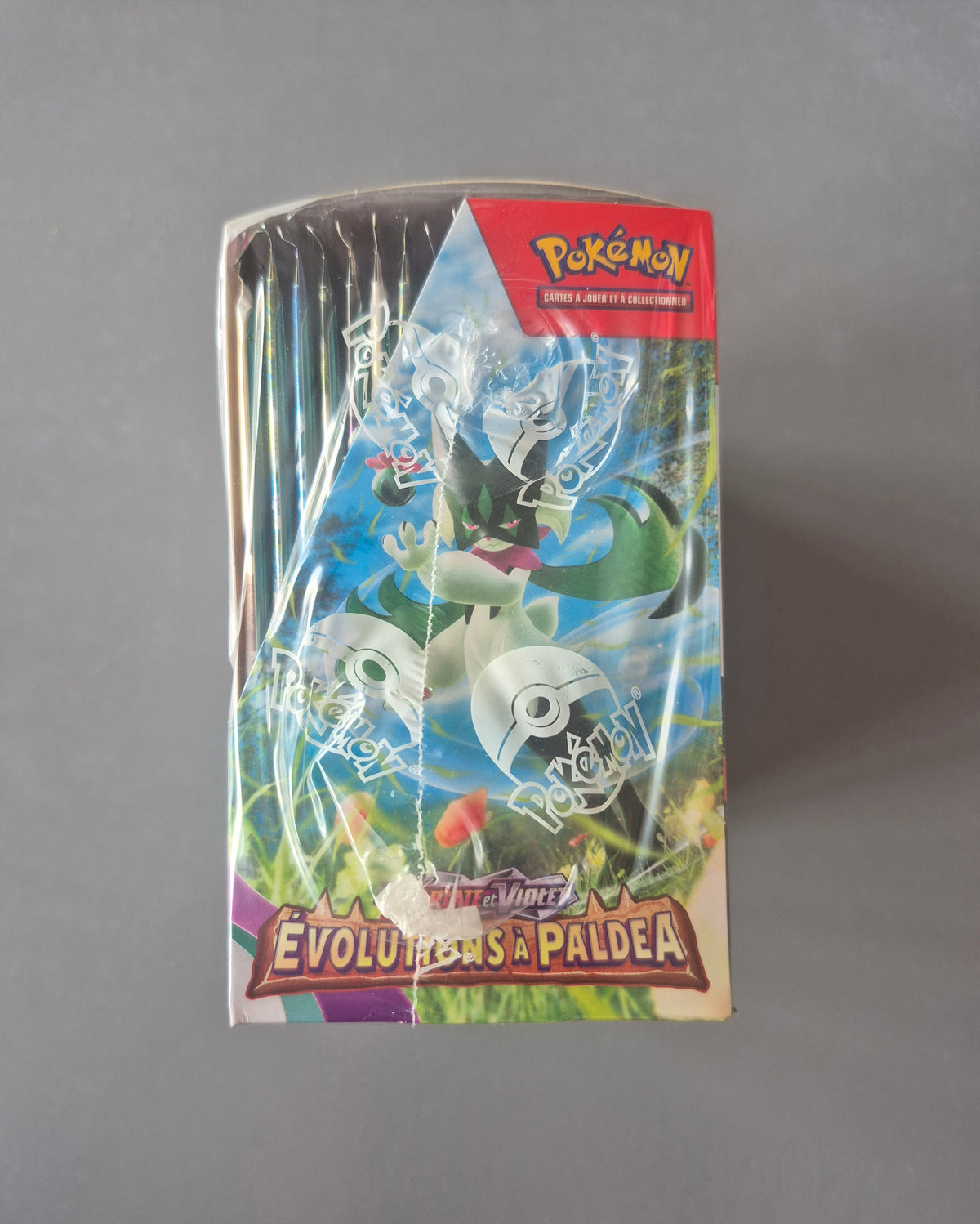 Display Pokémon Évolutions à Paldéa EV2 – Boîte 36 boosters FR